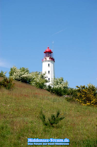 Dornbusch