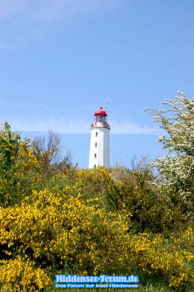 Dornbusch