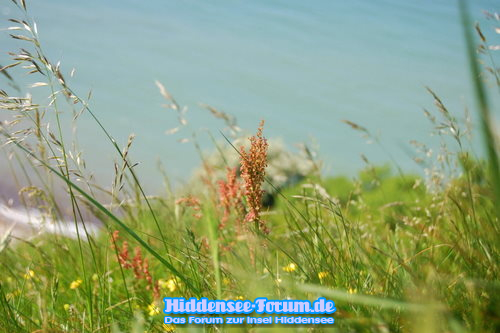 Natur bis zum Abhang