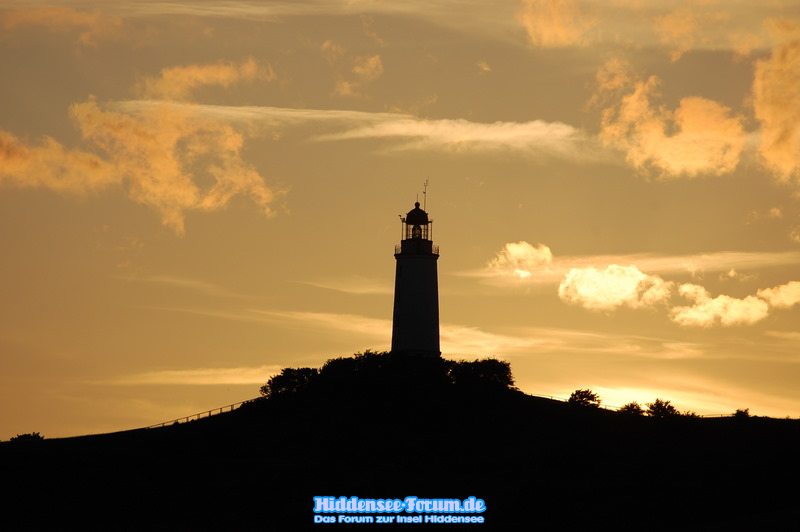 Dornbusch am Abend