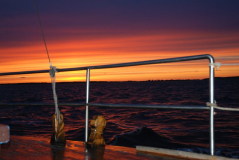 Sonnenuntergang über Hiddensee