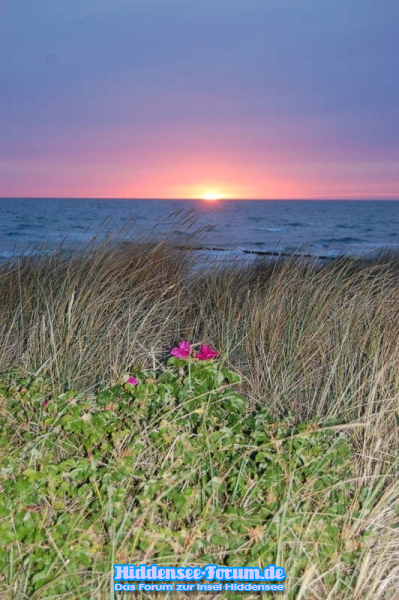 Sonnenuntergang in Vitte