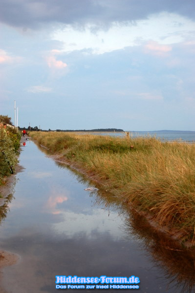 Überschwemmung auf dem Deich
