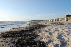 Strand von unten.