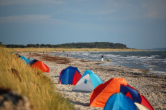 Strandmuscheln voll im Trend