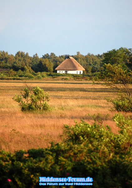 Blick nach Süden Richtung Heide
