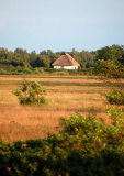 Blick nach Süden Richtung Heide