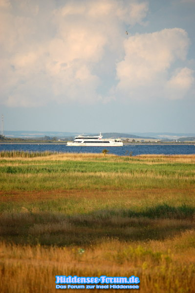 Vom Deich aus zu sehen die Weiße Flotte