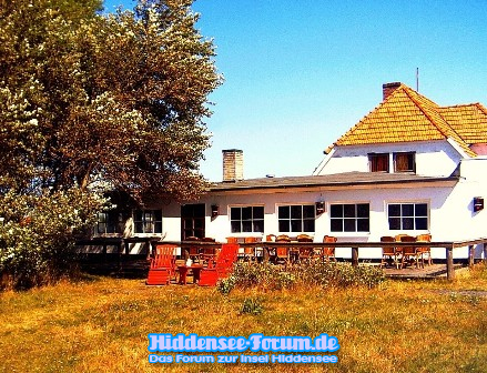 Stranddistel Neuendorf