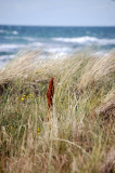 Strand in der Saison