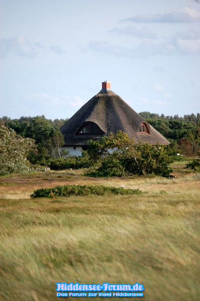 auf dem durch die Heide