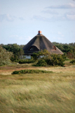 auf dem durch die Heide