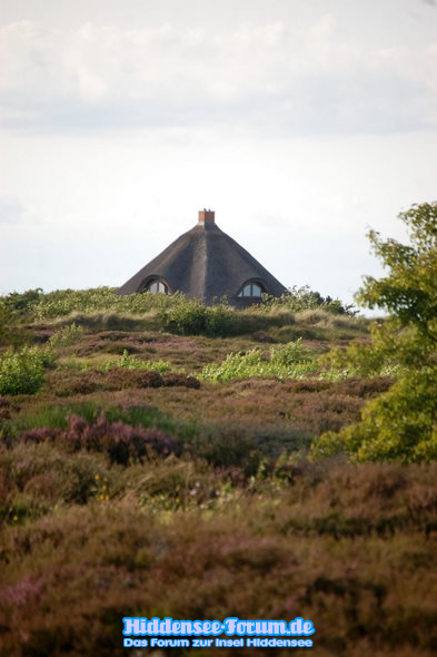 auf dem durch die Heide