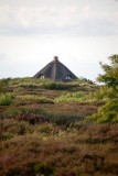 auf dem durch die Heide