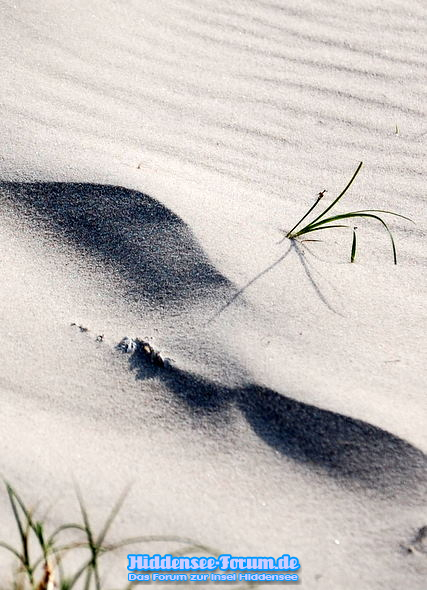 Strandfeeling in der Heide