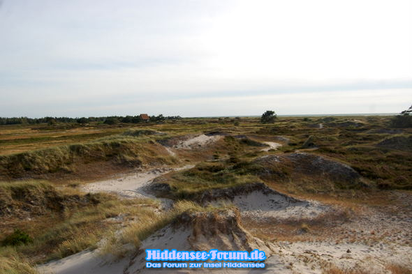 Freiheit und Ruhe in der Heide