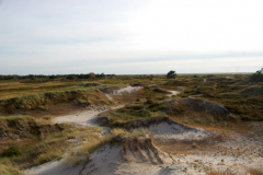 Freiheit und Ruhe in der Heide