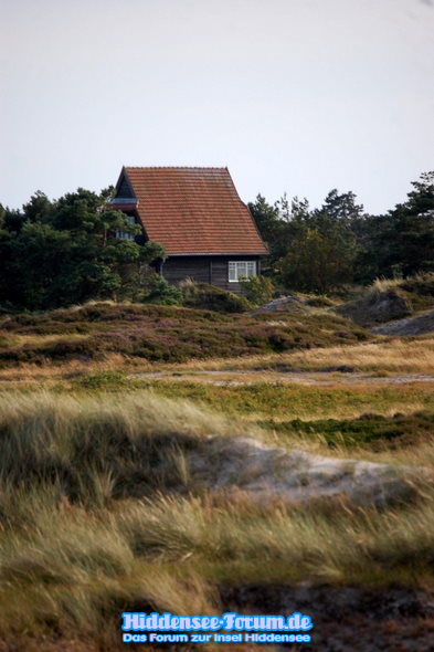 Heide