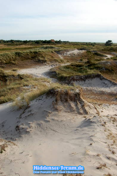 Heide