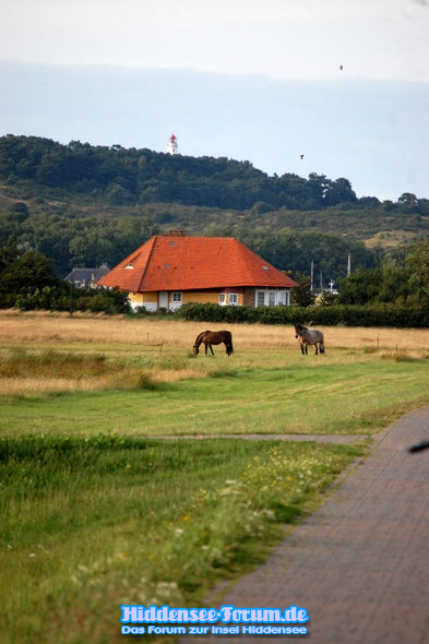 von VITTE NACH KLSTER