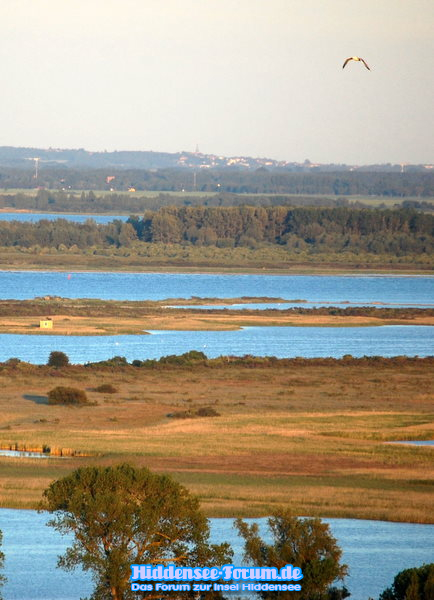 Blick  zum Bessin und Rügen bis nach Bergen(Hinten)