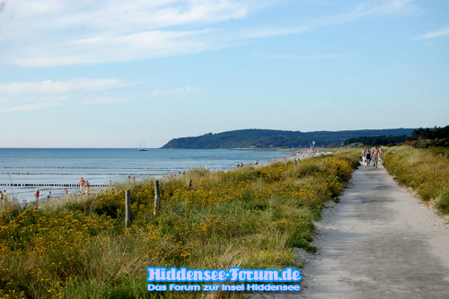 Inseldeich