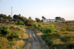 Heide 2009