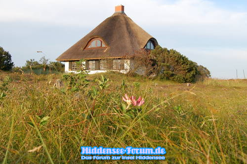Heide 2009