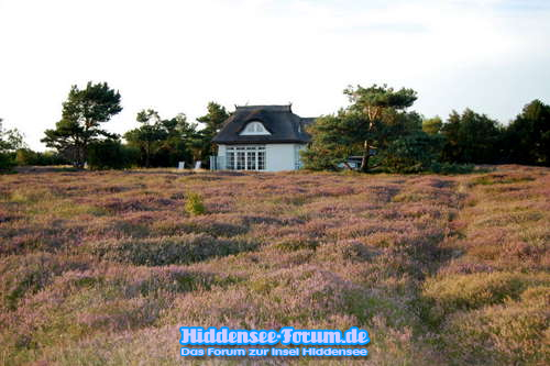 Heide 2009