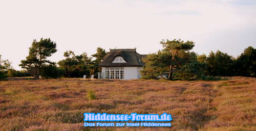 Heidelandschaft