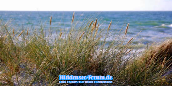 Strand im August