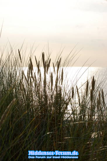 Sehnsucht Ostsee