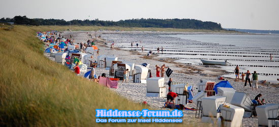 Strand im August 09
