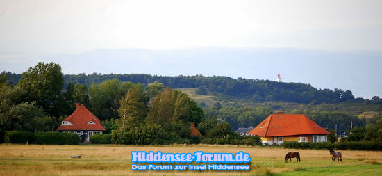 Vitte Richtung Norden mit Karusel Links