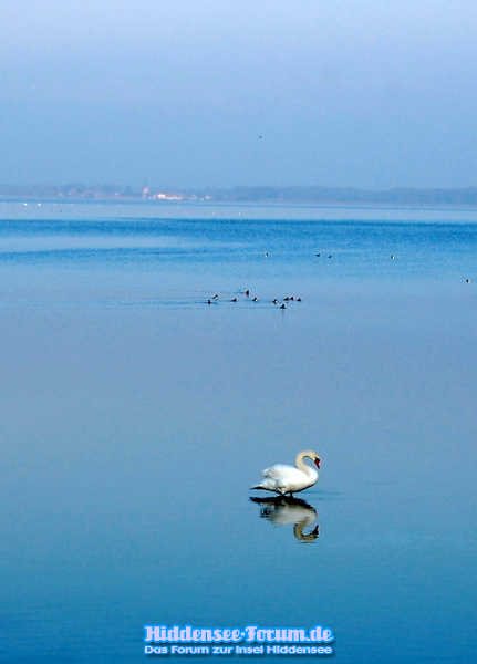 Stille