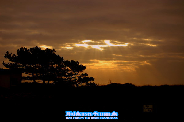 Sonenuntergang in der Heide