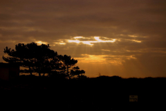 Sonenuntergang in der Heide