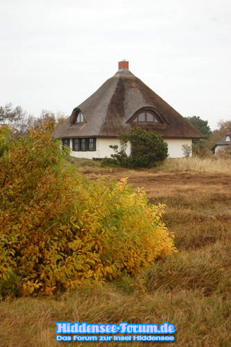 Herbst in der Heide