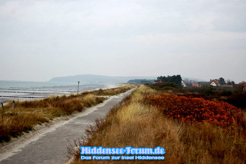 Insel im Herbst