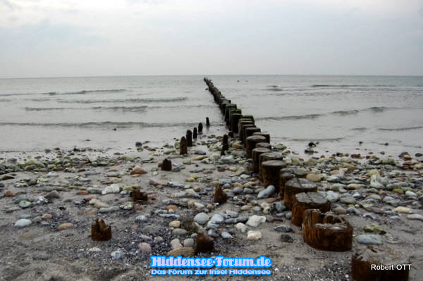Strandspaziergang in November
