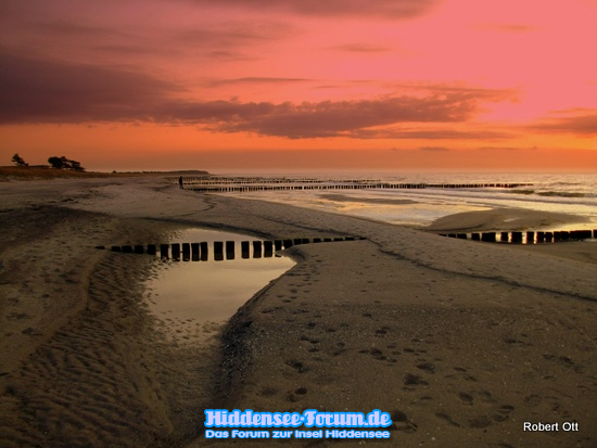Strand in BEWEGUNG