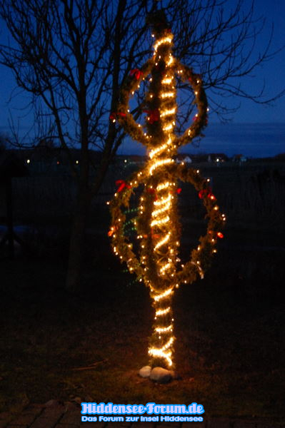 ein Bügelbaum in Vitte