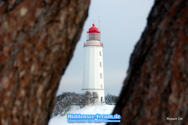 Versteckt sich im Winter