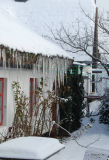 Eisbildung auf Hiddensee