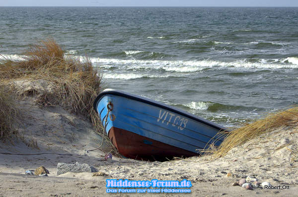 Insel im Wind