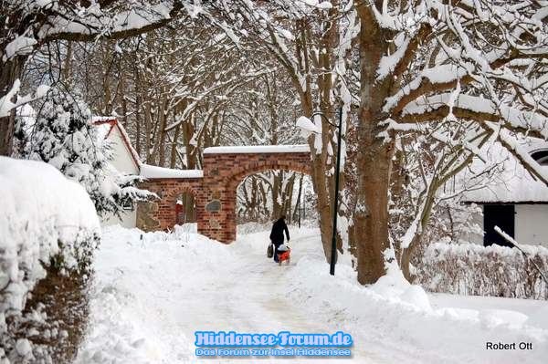 Steintor im Winter 8 Januar
