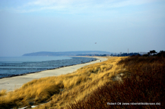 Strand ANFANG März 2010