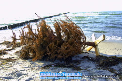 Ist der Weihnachtsbaum gestrandet?Vom 18 März 2010 Fotografiert