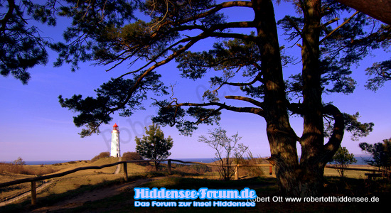 Sehnsucht Hiddensee
