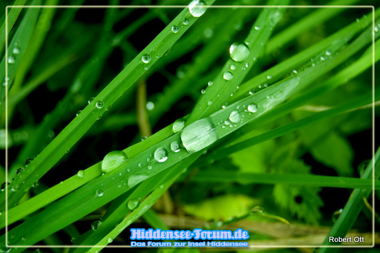 Regen Regen.Wann ist das vorbei?